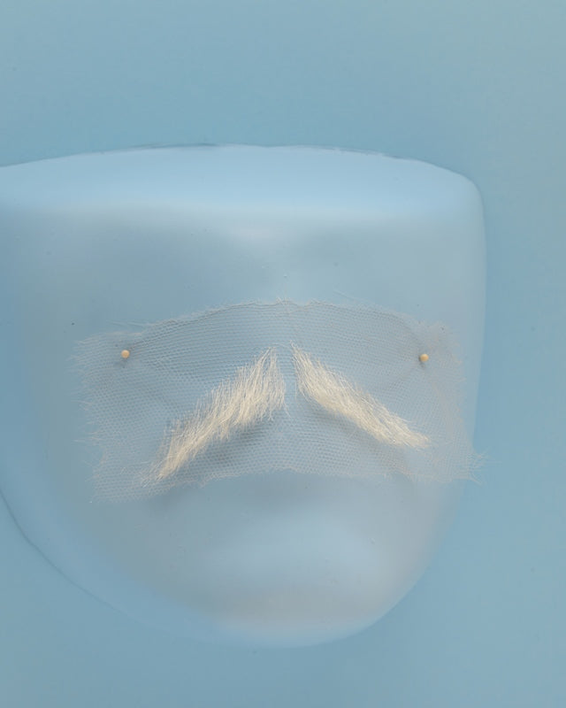 Small Mustache