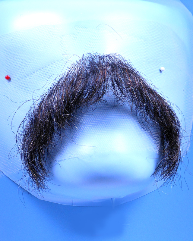 Extra Large Mustache