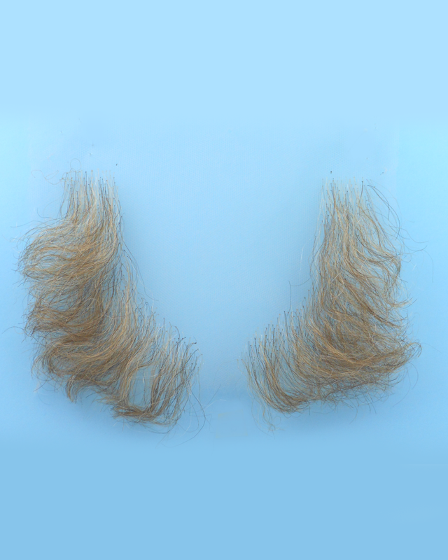 "L" Shape Sideburns