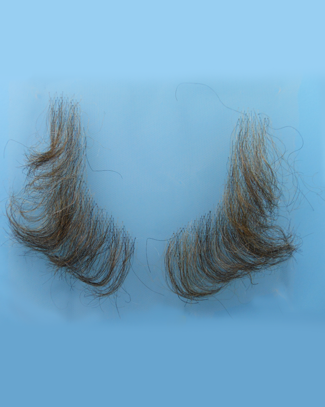 "L" Shape Sideburns