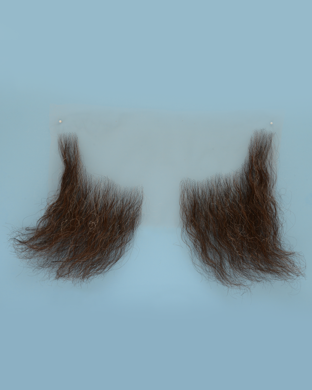 Very Large Sideburns