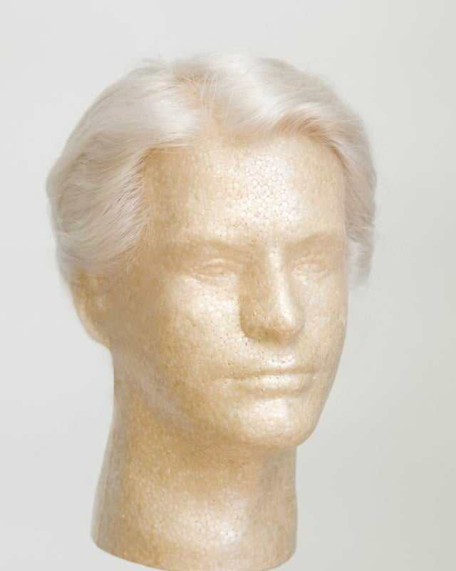 6 inch Regular Men's Wigs