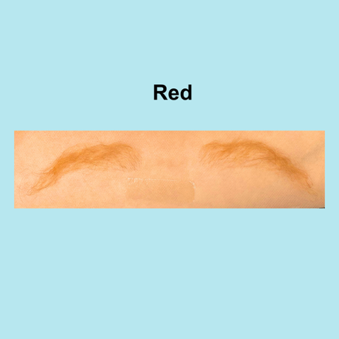 Eyebrows